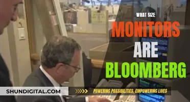 Bloomberg's Monitor Setup: Size and Configuration Explained