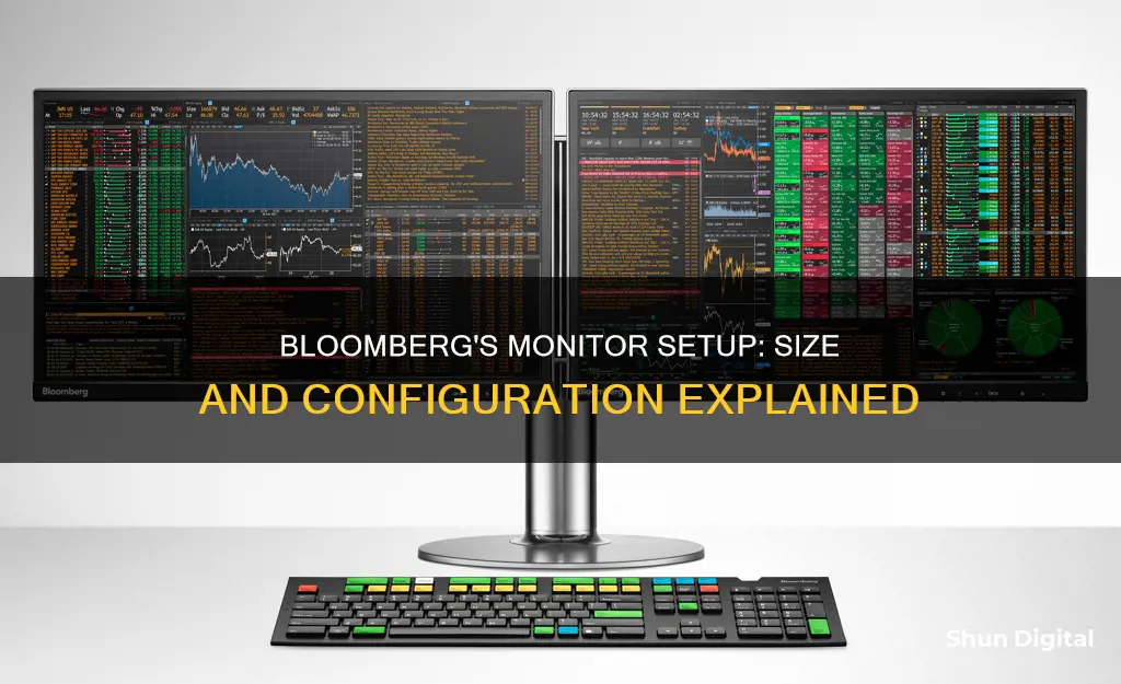 what size monitors are bloomberg