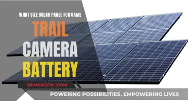 Choosing Solar Panels for Trail Cameras