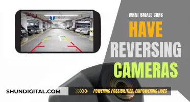 Reversing Cameras in Small Cars: Which Models Have Them?