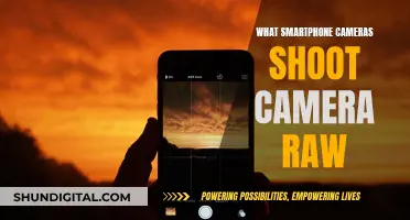 Smartphone Cameras: Which Devices Shoot Raw?