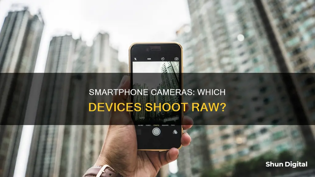 what smartphone cameras shoot camera raw