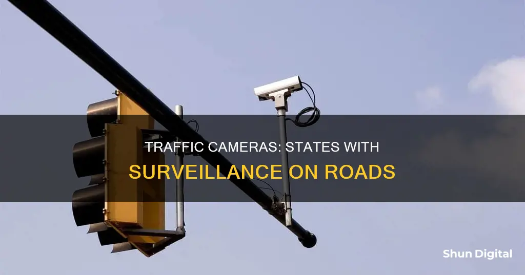 what states have traffic cameras