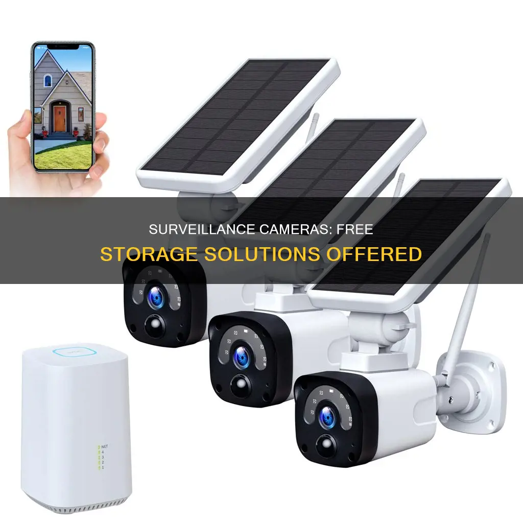 what surveillance cameras offer free storage solutions