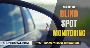 Blind Spot Monitoring: Which SUVs Have This Feature?