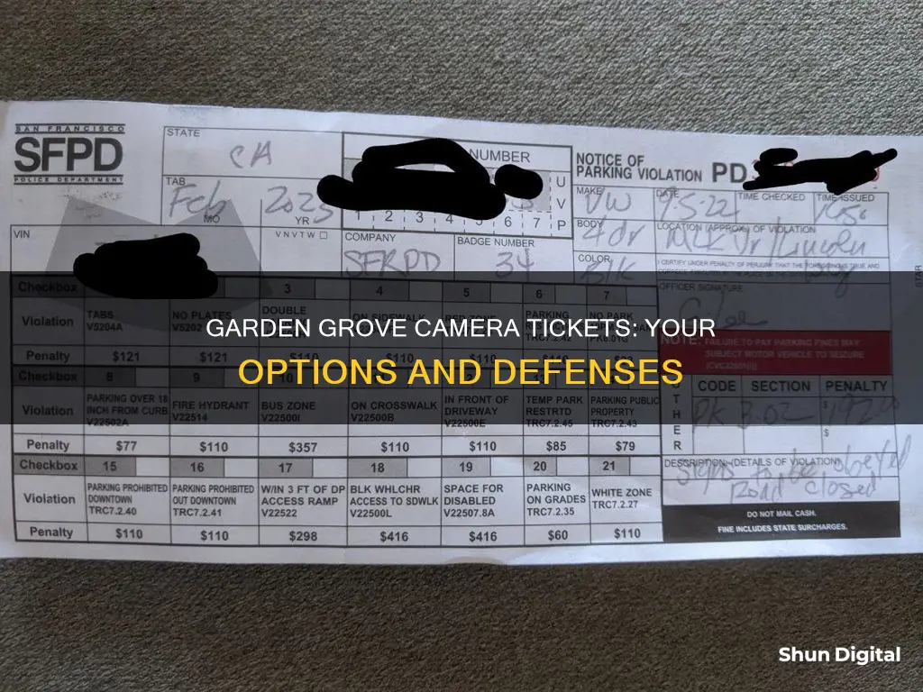 what to do about garden grove camera ticket