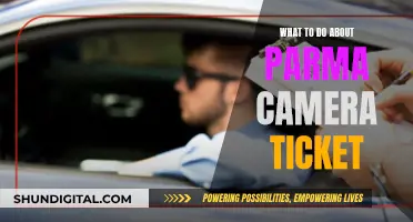 Fighting Parma: Contesting Camera Tickets