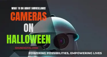 Surveillance Cameras on Halloween: Tricks and Treats