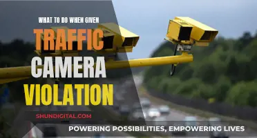 Traffic Camera Violation: Your Options and Next Steps