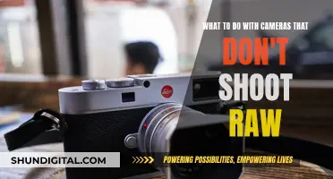 Unlocking RAW Potential: Unconventional Uses for Your Camera