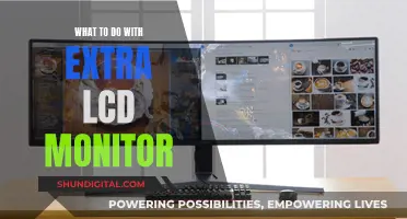 Creative Ways to Utilize Your Spare LCD Monitor