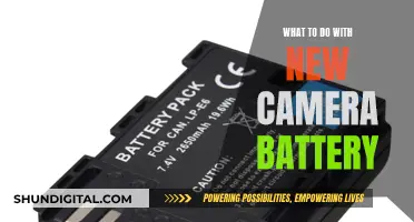 New Camera Battery Care: Do's and Don'ts