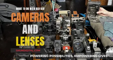 Reviving Old SLR Cameras and Lenses: Creative Ideas