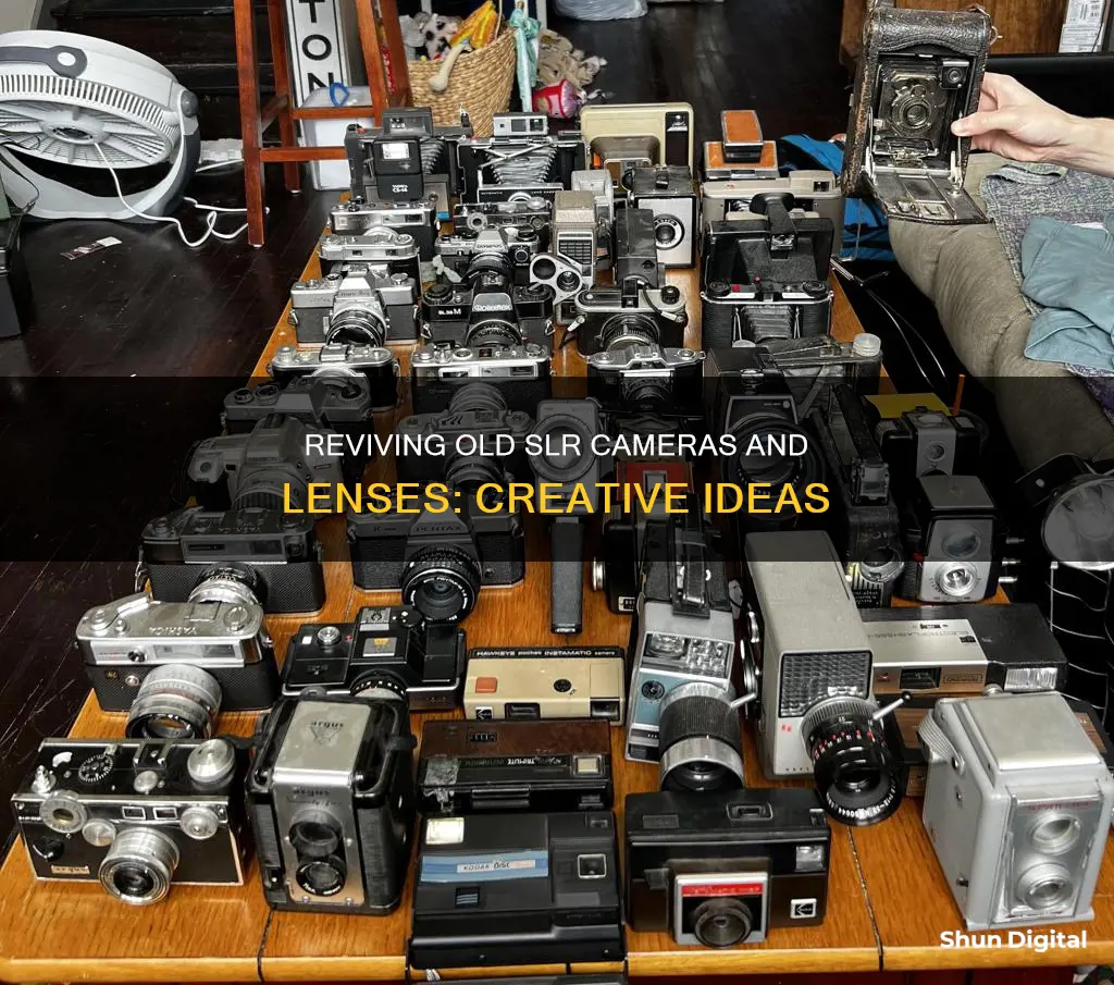 what to do with old slr cameras and lenses