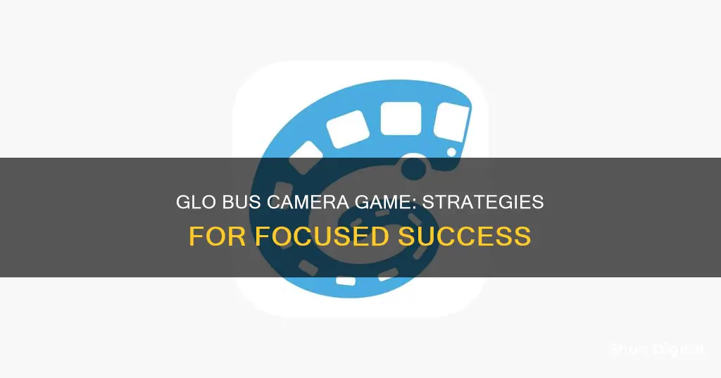 what to focus on in glo bus camera game