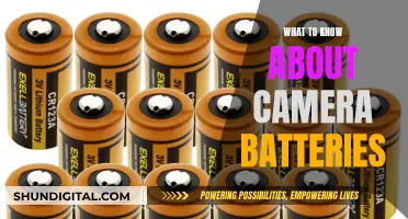 Camera Battery Basics: What Photographers Need to Know