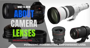 Understanding Camera Lenses: A Beginner's Guide to Photography