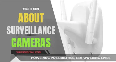 Surveillance Cameras: What You Need to Know