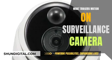 Surveillance Camera Motion Triggers: Understanding the Science