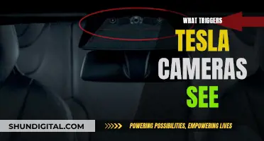 Tesla Cameras: What Sets Them Off?