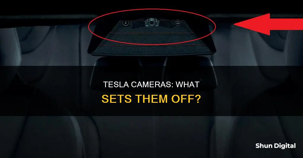 what triggers tesla cameras see