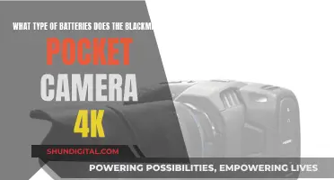 Blackmagic Pocket 4K: Which Batteries to Use?