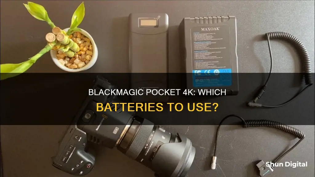 what type of batteries does the blackmagic pocket camera 4k