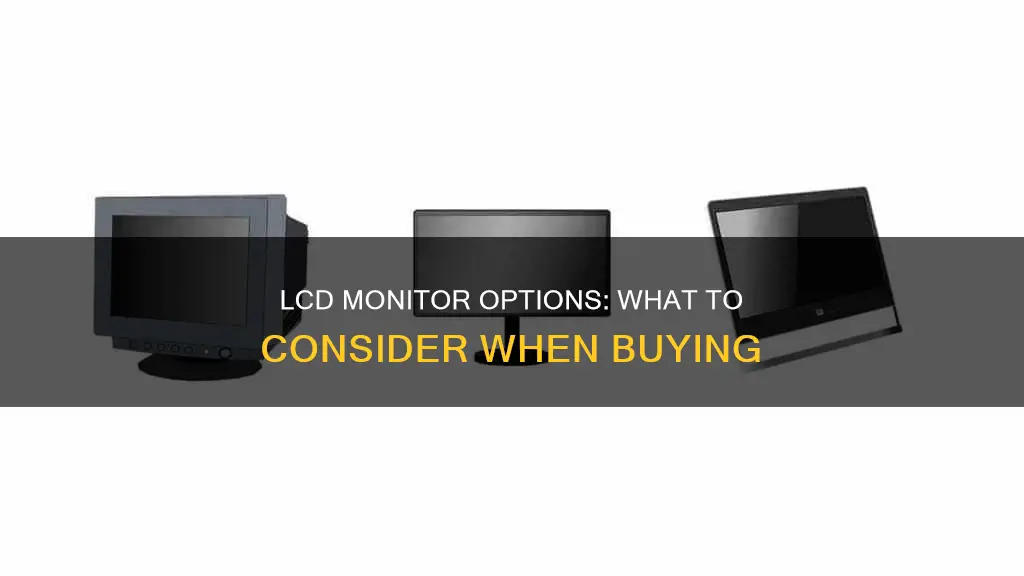 what type of lcd monitor provides