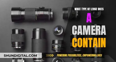 The Intriguing World of Camera Lenses: Unveiling Varied Perspectives