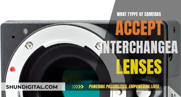 Interchangeable Lenses: What Camera Bodies Support Them?