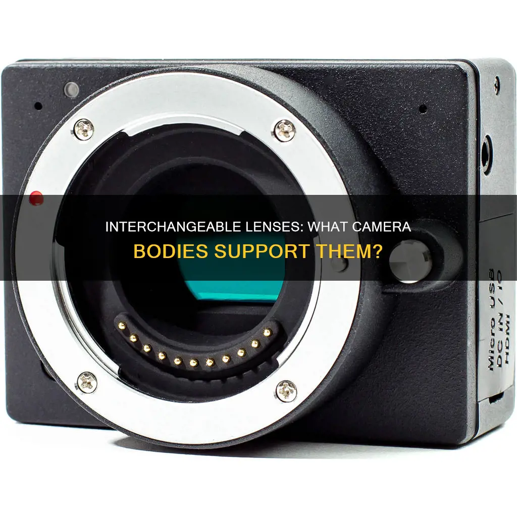 what typpe of cameras accept interchangeable lenses