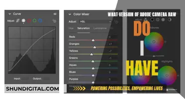 Discovering Your Adobe Camera Raw Version