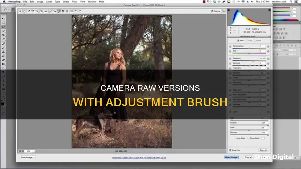 what versions of camera raw include the adjustment brush