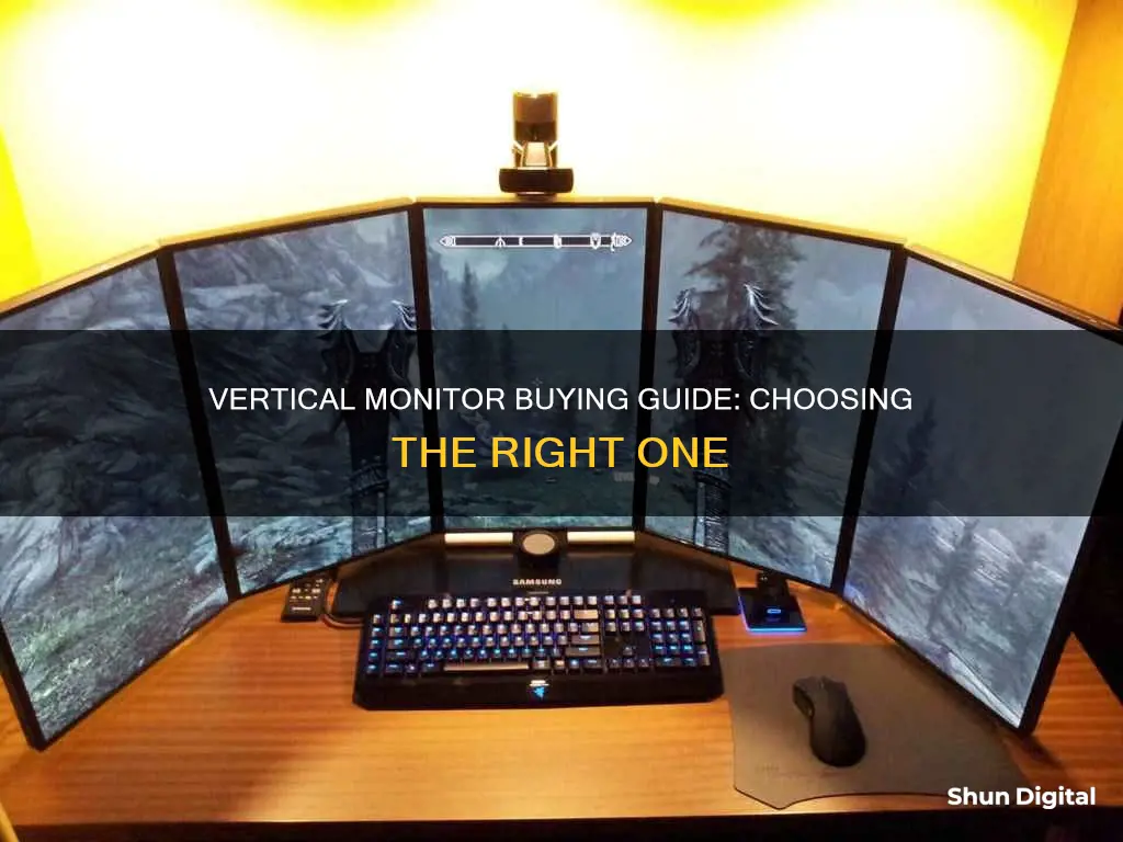 what vertical monitor should i buy