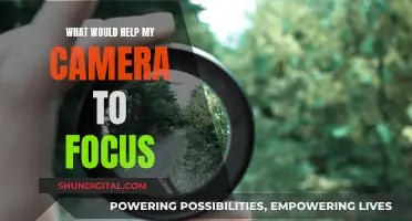 How to Improve Your Camera's Focus Quality