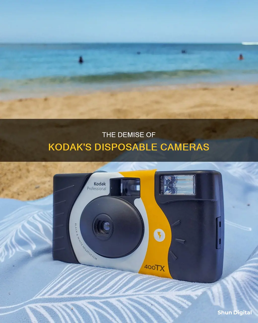 what year when kodak disposible camera stop being made