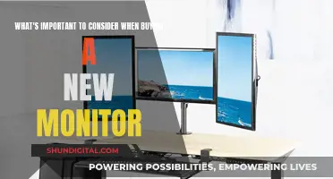 Choosing the Right Monitor: Key Considerations