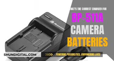 Charging BP-511A Camera Batteries: Picking the Right Charger