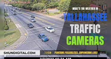 Tallahassee Traffic Cameras: Weather Insights and More