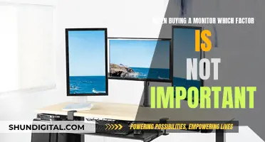 Buying Monitors: Ignore the Unimportant Factor