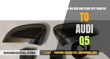 Audi Q5: Blind Spot Monitor Addition