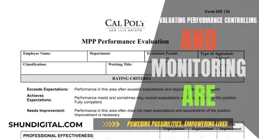 Performance Evaluation: Controlling and Monitoring Strategies