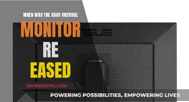 The Release of the ASUS VN289QL Monitor: When and What?