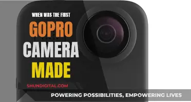 GoPro's First Steps: The Original Camera's Story