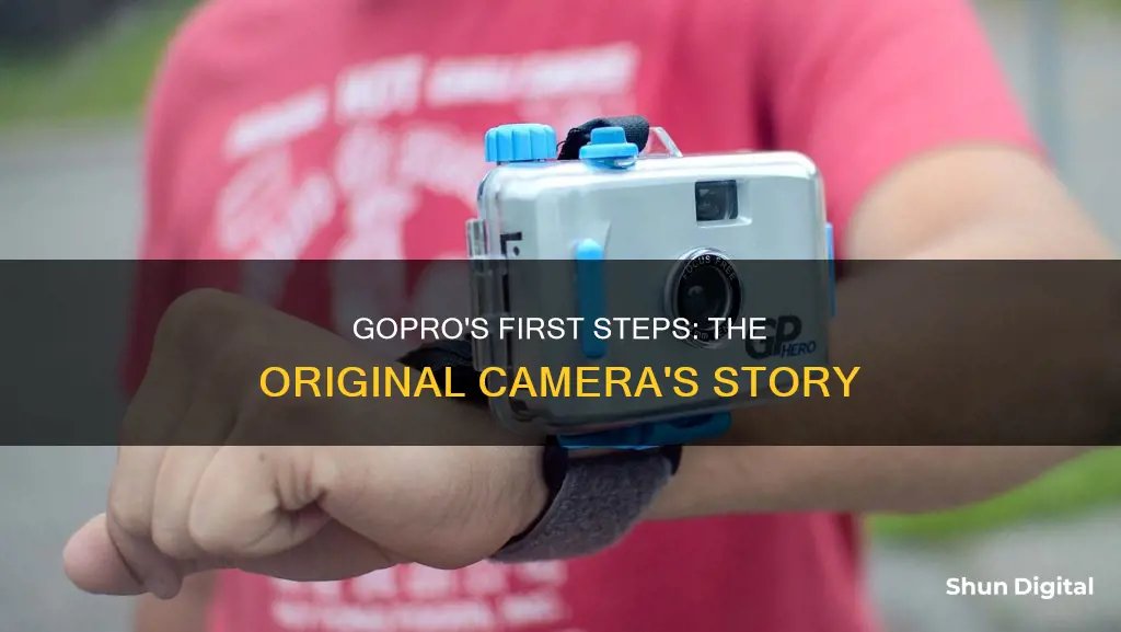 when was the first gopro camera made