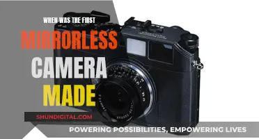 Evolution of Mirrorless Cameras: The First Step