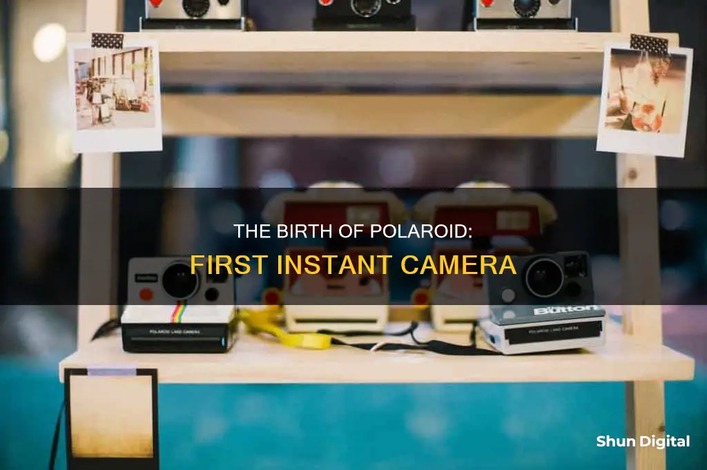 when was the first polaroid camera made