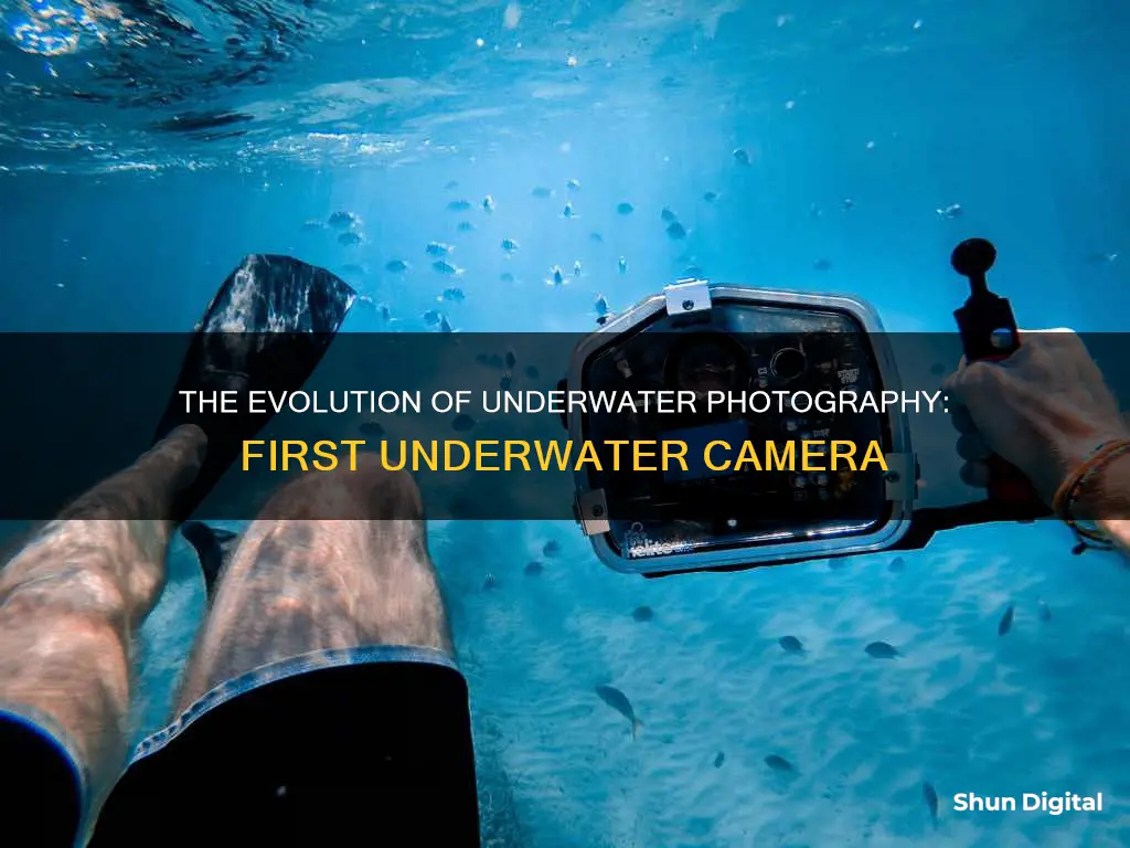 when was the first underwater camera made