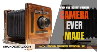 The First Working Camera: A Historical Perspective