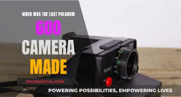 The Last Polaroid 600 Camera: When Did It End?